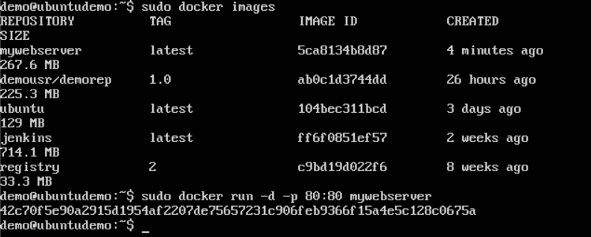 dockerwebserversetup4