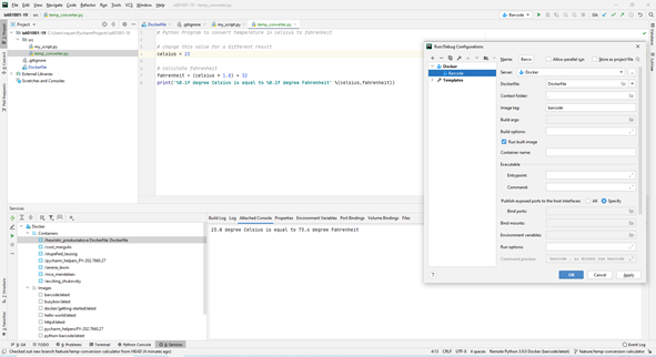 docker run configuration