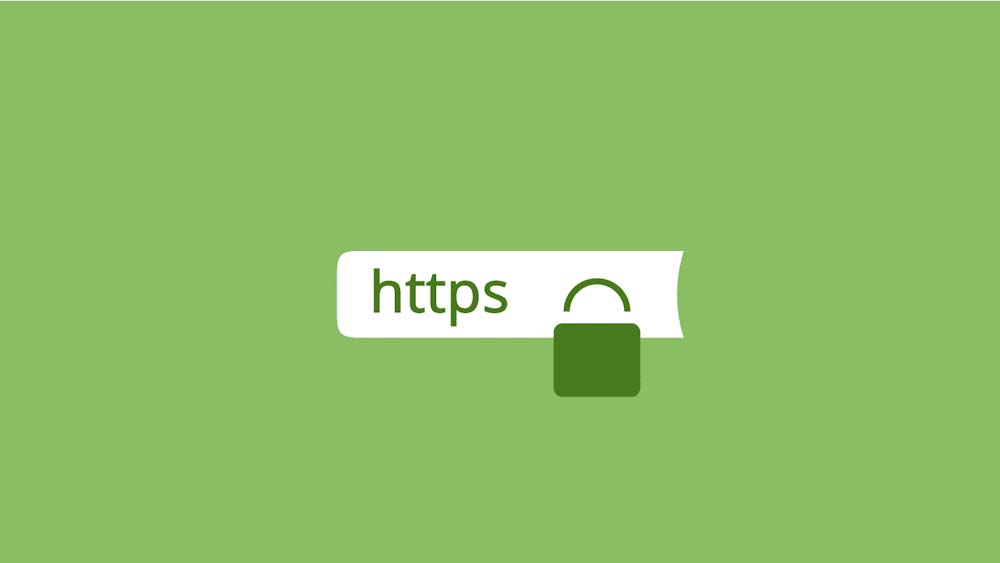 HTTP and HTTPS protocols